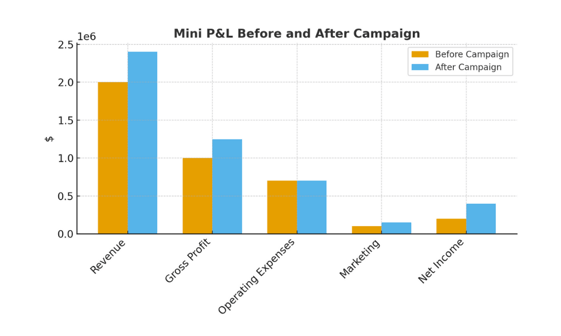 Mini P&L Before and After Campaign